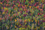 Color palette Poster och Canvastavla