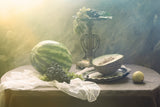 Watermelon and melon Poster och Canvastavla