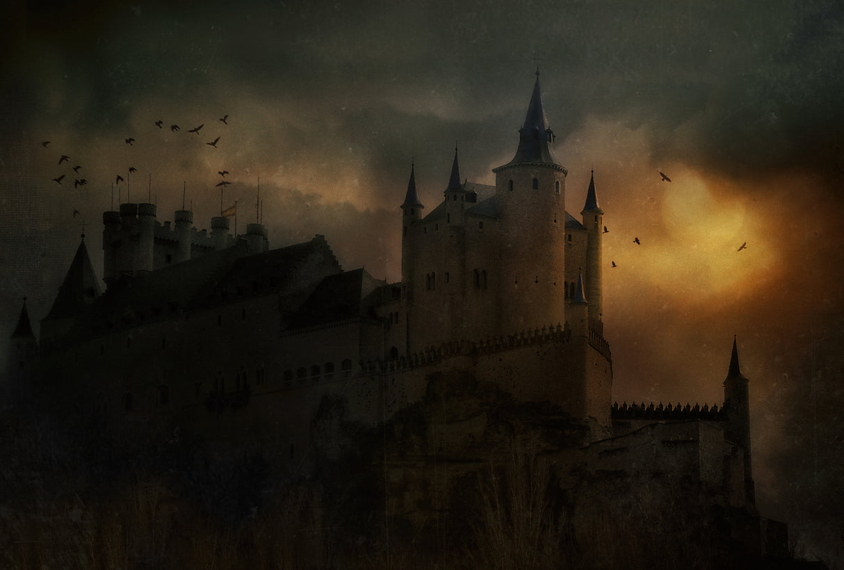 Alcazar of Segovia. Spain. Poster och Canvastavla