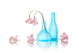 Pretty Peruvian-lily Poster och Canvastavla