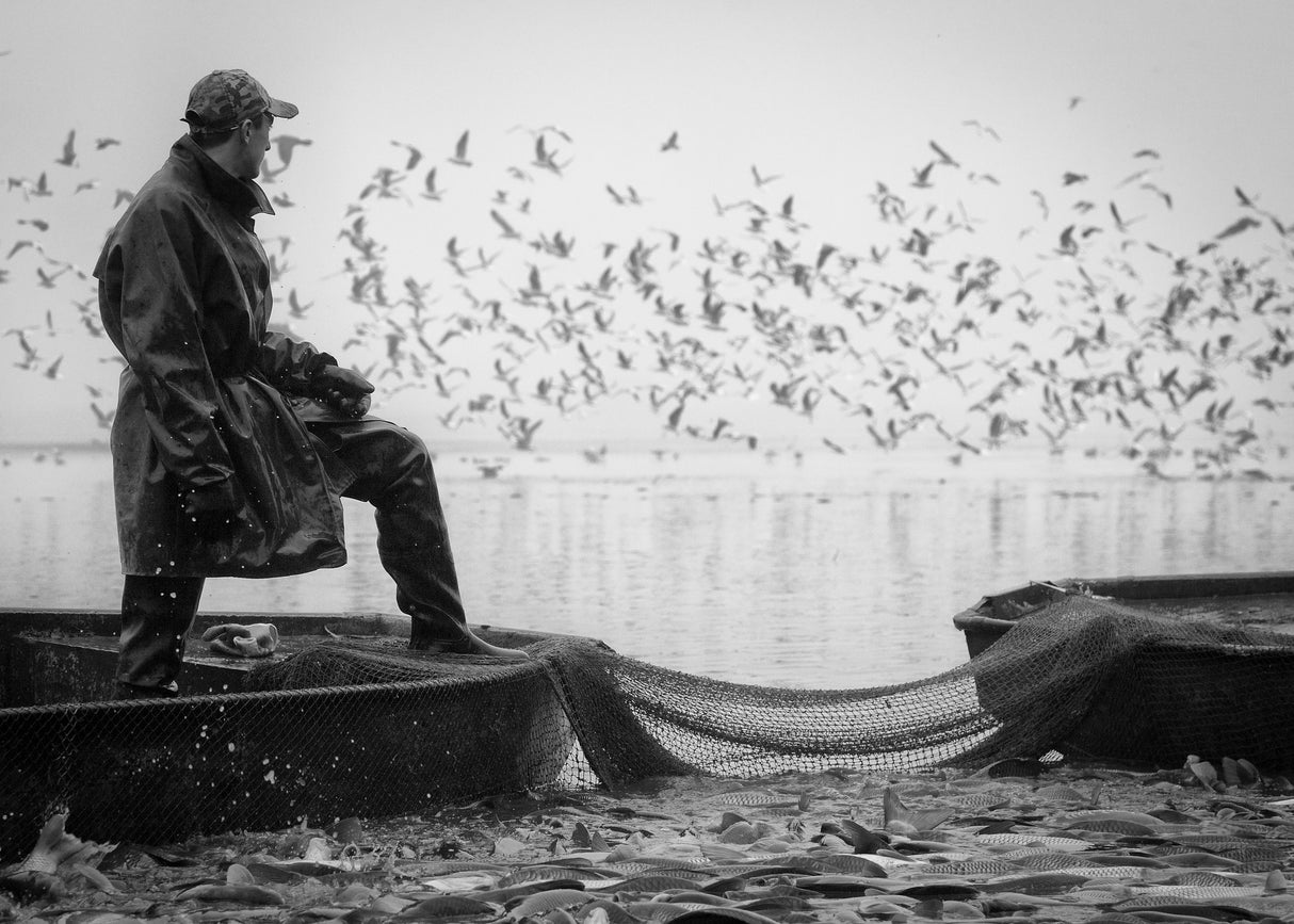 From fishing Poster och Canvastavla