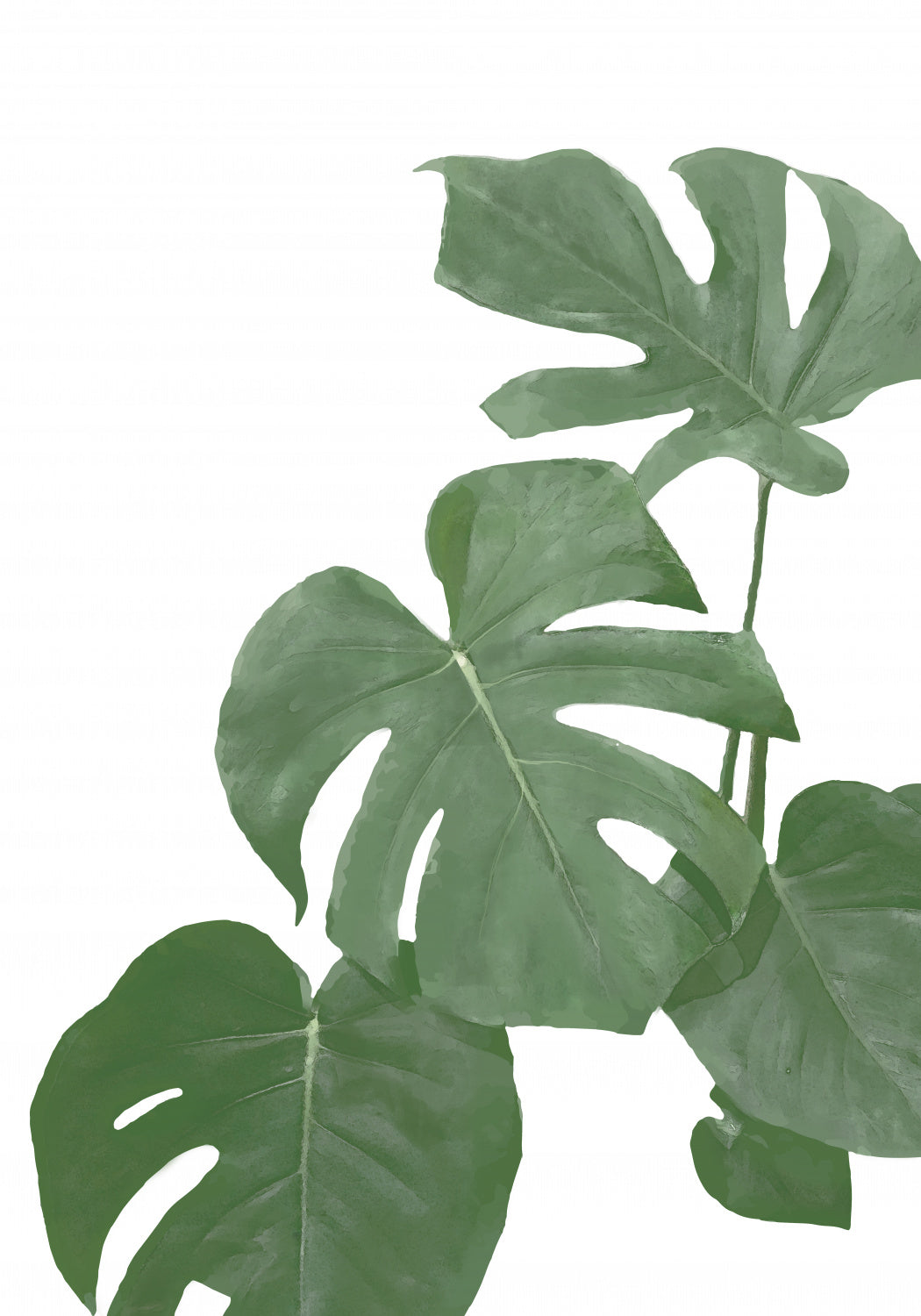 Monstera Aqua 03 Poster och Canvastavla