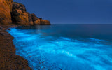 Bioluminescent Bay Poster och Canvastavla