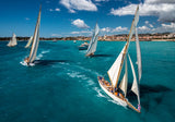 Race start Poster och Canvastavla