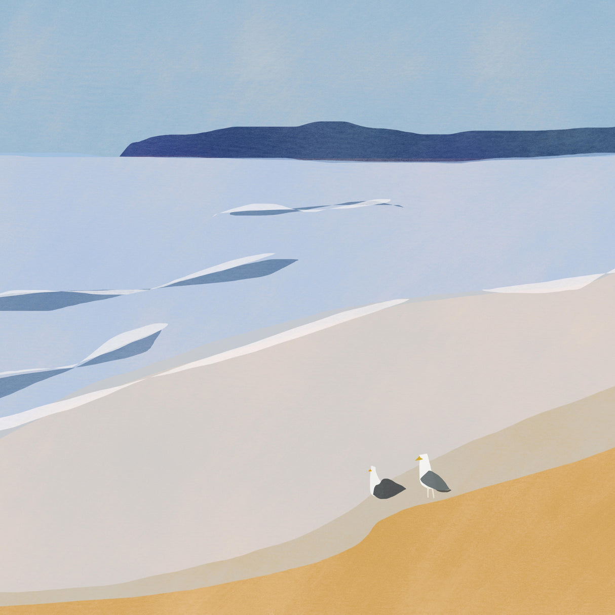 Seagulls At the Beach Poster och Canvastavla
