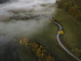 Autumn fog Poster och Canvastavla