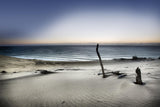 Reach for the sun Poster och Canvastavla