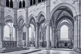 Sanctuary Poster och Canvastavla