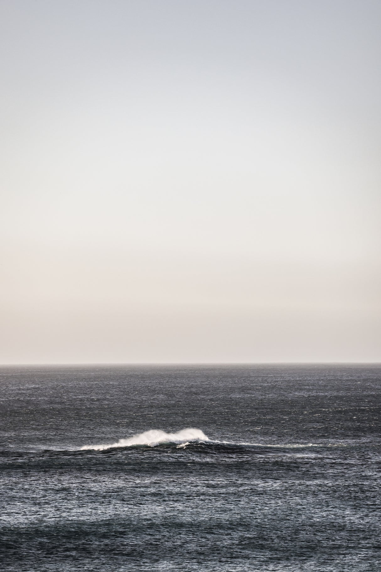 Open Ocean Poster och Canvastavla