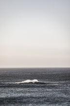 Open Ocean Poster och Canvastavla