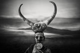 Horns Mursi Poster och Canvastavla