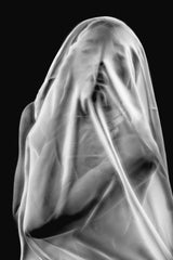 Life Behind the Veil Poster och Canvastavla