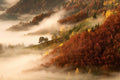 November's fog Poster och Canvastavla