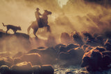 The buffalo shepherd Poster och Canvastavla