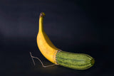 Banana Poster och Canvastavla