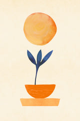 Little Sprout Poster och Canvastavla