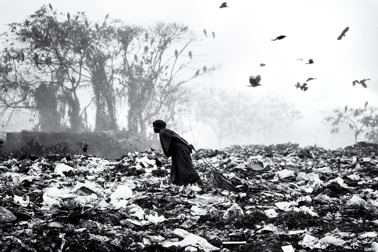Life on garbage dump yard Poster och Canvastavla