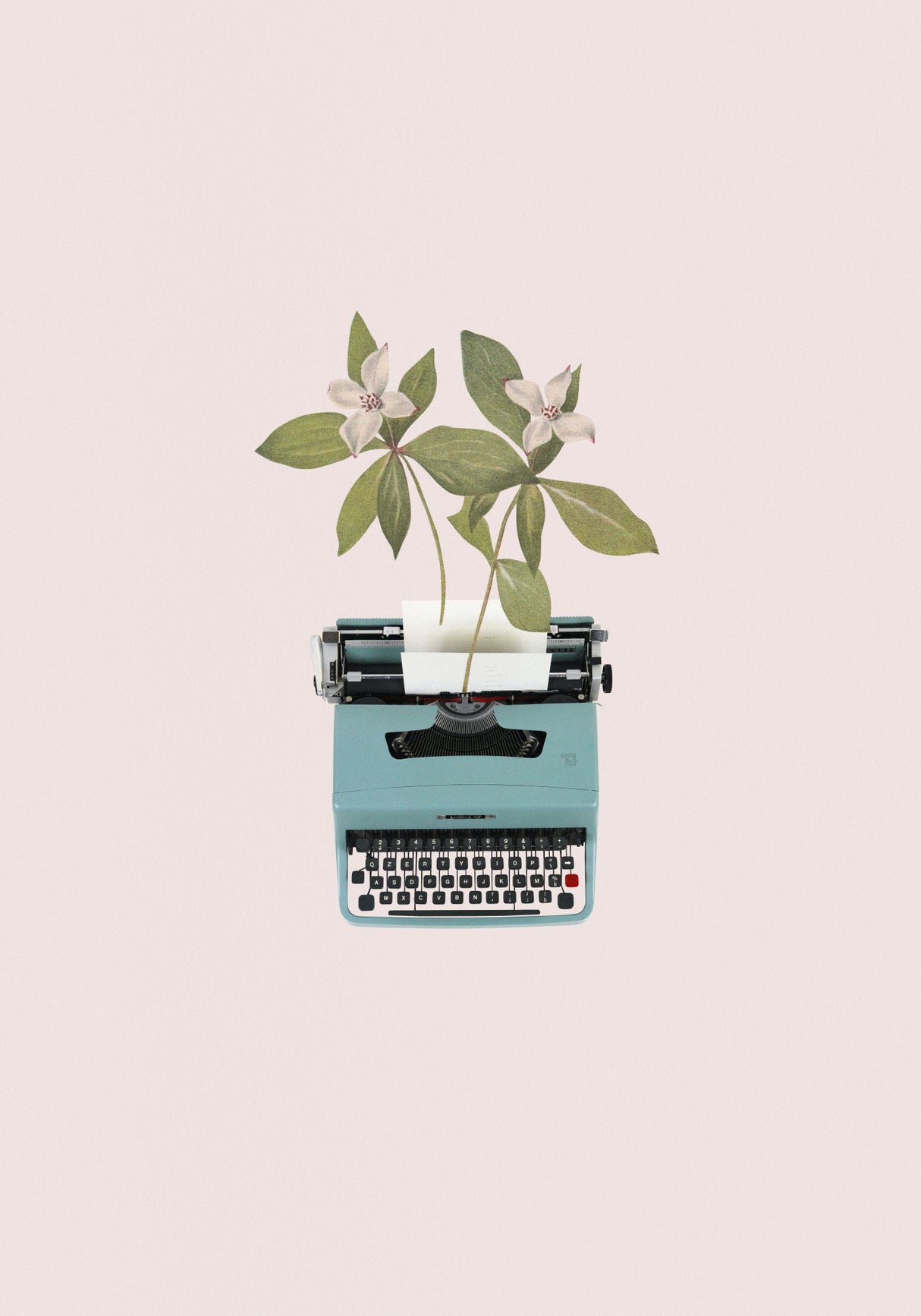 Botanical typewriter Poster och Canvastavla