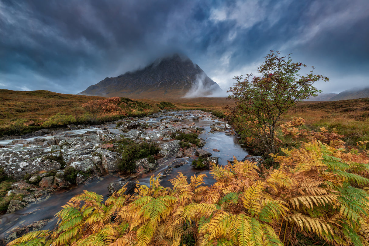 The Glencoe in autumn Poster och Canvastavla