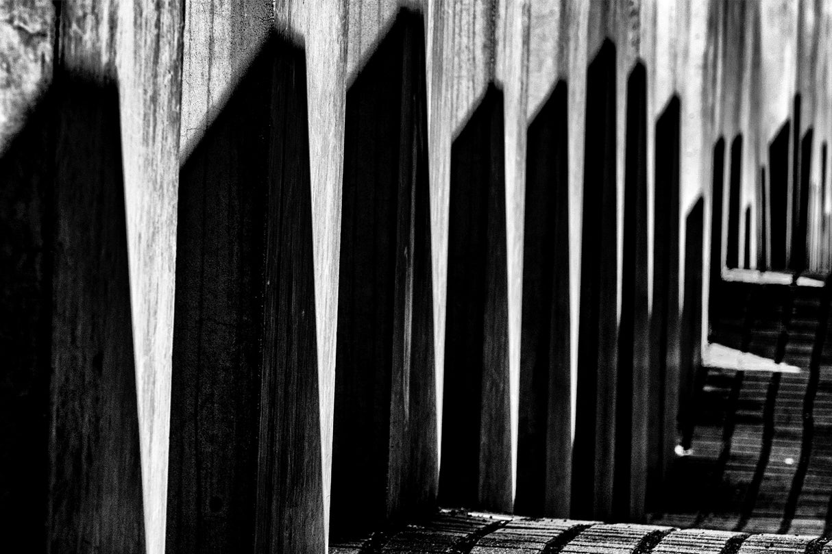 Shadows of the past Poster och Canvastavla