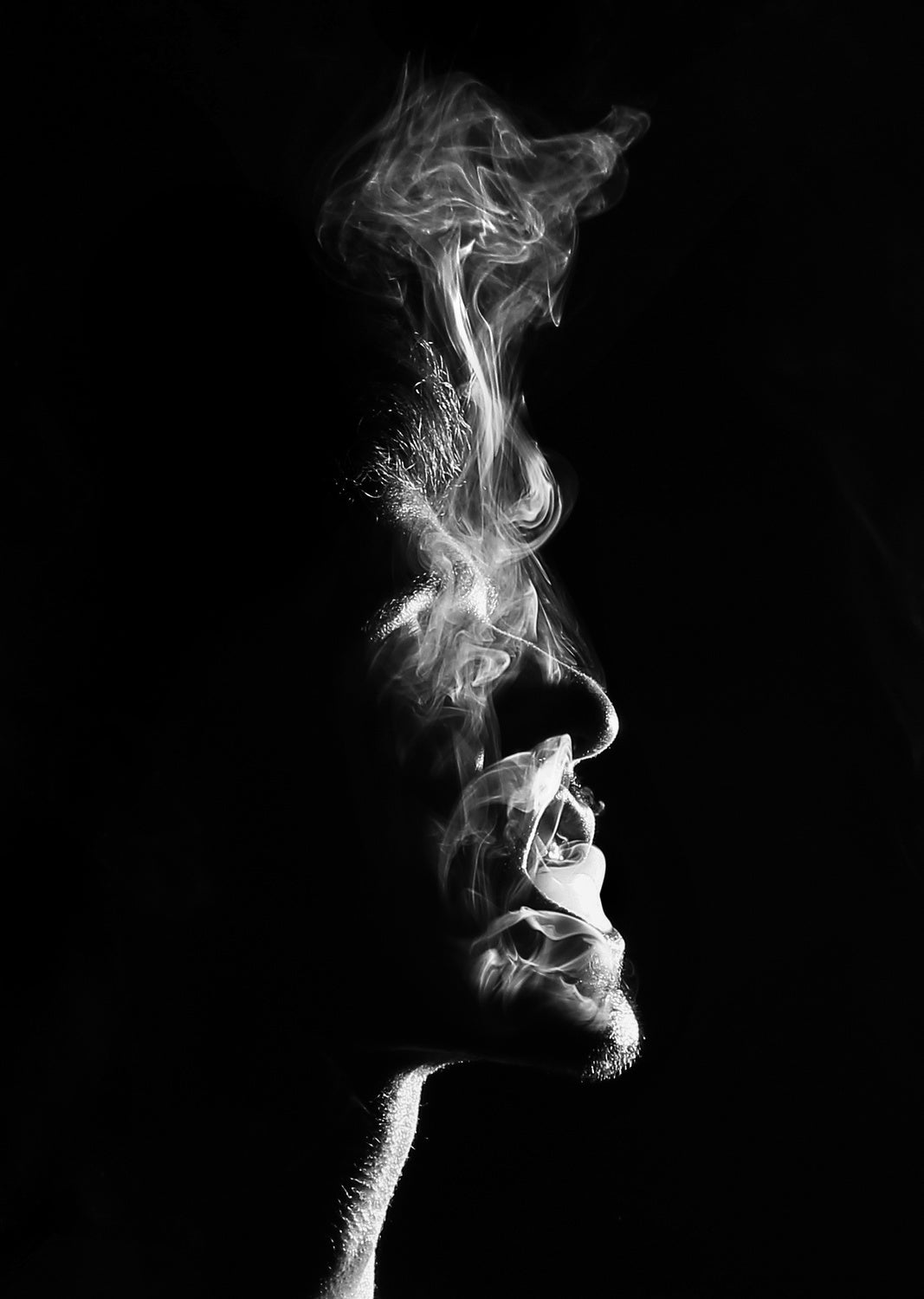 Smoke Poster och Canvastavla