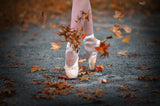 Dance in the fall wind Poster och Canvastavla