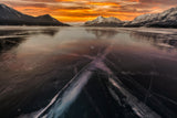 Ice World Poster och Canvastavla