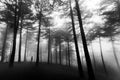 heading for to darkness Poster och Canvastavla