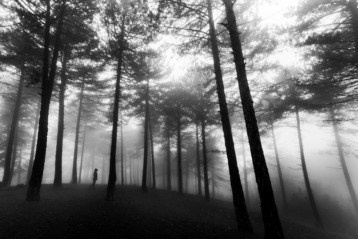 heading for to darkness Poster och Canvastavla