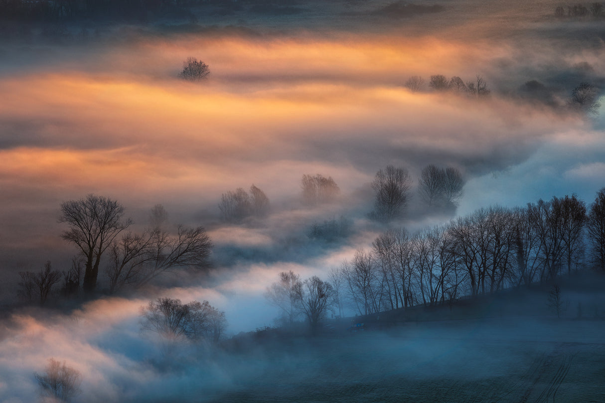 Sunrise light in the foggy valley Poster och Canvastavla