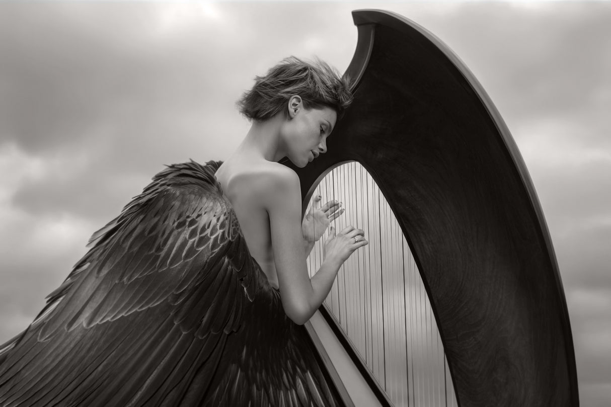 AngelPlay Poster och Canvastavla