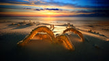 Spider- The Light Aspirator Poster och Canvastavla