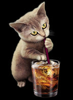 cat and soft drink Poster och Canvastavla