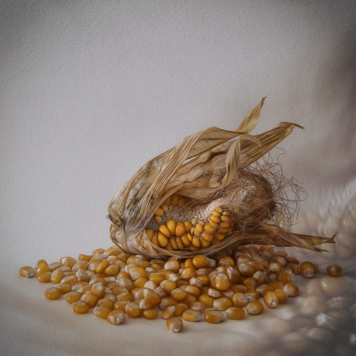 Corn Poster och Canvastavla
