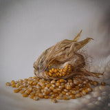 Corn Poster och Canvastavla