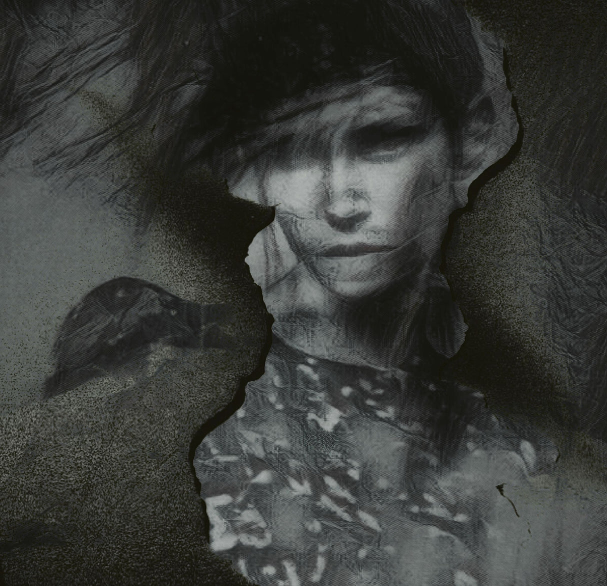 A Quiet Darkness (portrait) Poster och Canvastavla