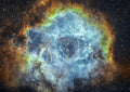 The Rosette Nebula Poster och Canvastavla
