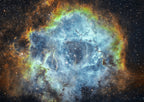 The Rosette Nebula Poster och Canvastavla