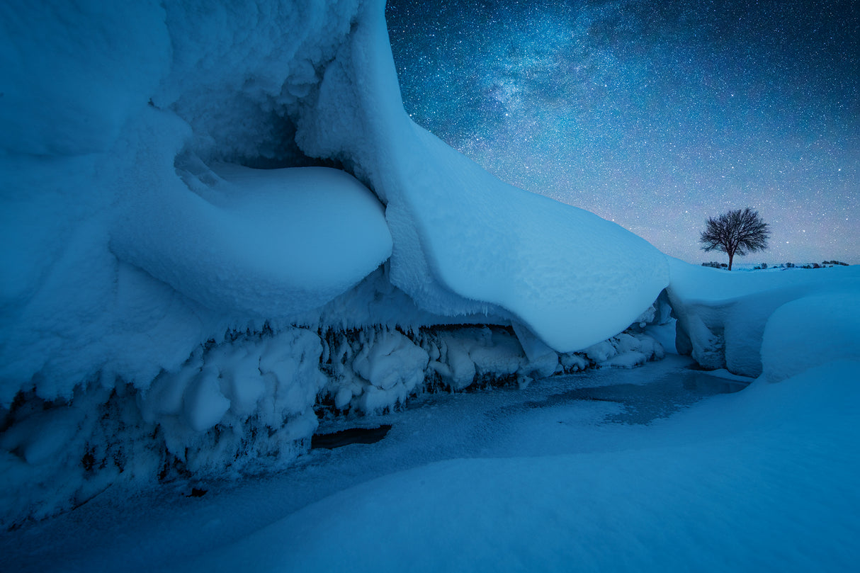 A cold night Poster och Canvastavla