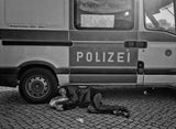 Polizei Poster och Canvastavla