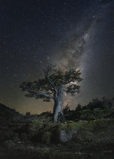 GALAXY MERGE Poster och Canvastavla