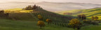 Tutte le Strade Portano a Belvedere Poster och Canvastavla