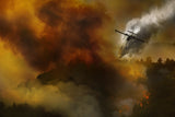 Fire in National Park of Cilento (SA) - Italy Poster och Canvastavla
