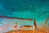 Near the shore Poster och Canvastavla