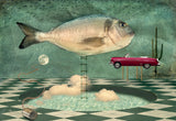 The fish doesn't think because the fish knows everything (Axel, in Arizona Dream) Poster och Canvastavla