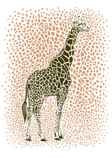 The Majestic Giraffe Poster och Canvastavla