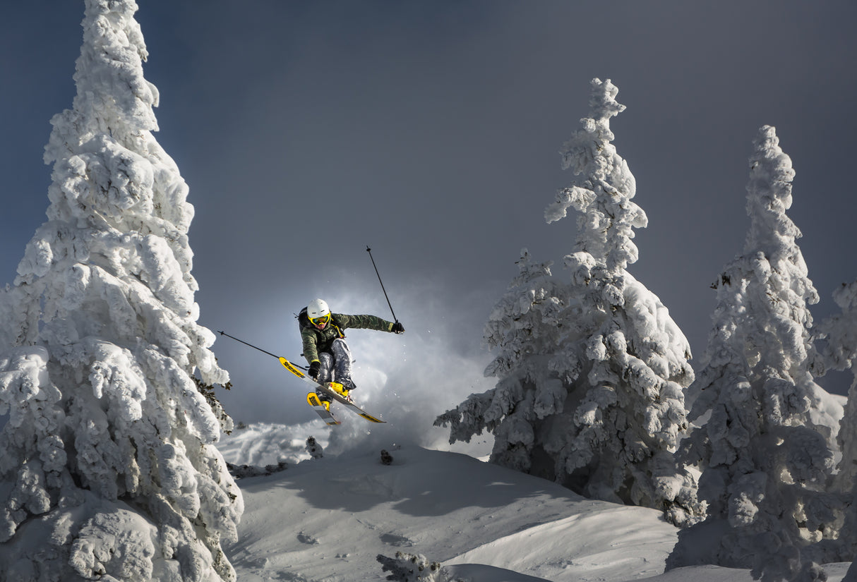 Ski is life Poster och Canvastavla