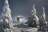 Ski is life Poster och Canvastavla