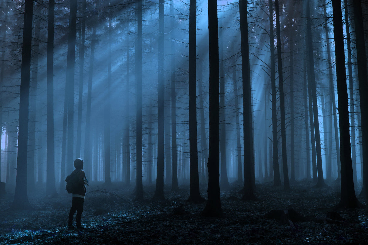 Blue forest Poster och Canvastavla