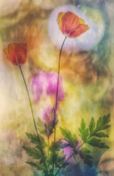 like a painting Poster och Canvastavla